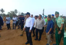 Empat Titik Hilirisasi Ayam Bone Ditargetkan Rampung 2027