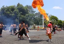 Meriah! Bupati Bone Lepas Karnaval Budaya Gau Maraja 2026