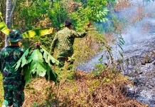 Koramil dan Warga Berjibaku Padamkan Kebakaran Lahan di Labessi