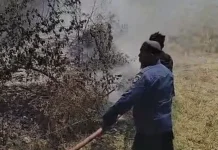 Lahan Depan Kampus UNCAPI Terbakar, Api Berhasil Dipadamkan