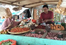 Kemarau Panjang, Harga Cabai di Sinjai Tembus Rp90 Ribu