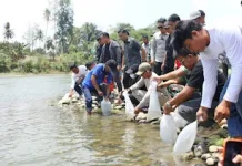 Sebanyak 10 Ribu Benih Ikan Dilepas di Sungai Walannae
