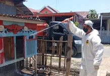 DPKH Sinjai Ingatkan Peternak Soal Vaksin Usai Ayam Warga Mati Massal