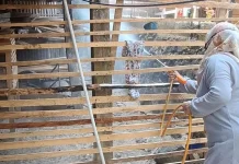 Flu Burung di Sinjai Merebak, DPKH Minta Warga Tidak Panik