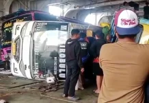 Cuaca Buruk Hantam Feri Kolaka-Bone, Kendaraan Putar Balik