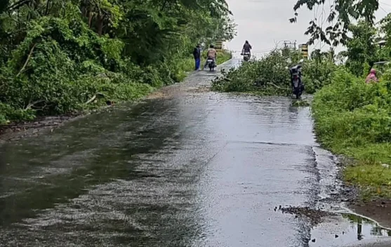 BPBD Sinjai Imbau Warga Waspadai Cuaca Ekstrem dan Longsor