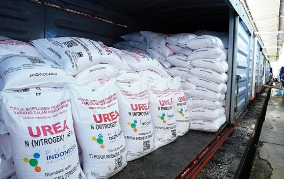 Pupuk Indonesia Pasok 47.250 Ton Urea ke Australia - RRI.co.id
