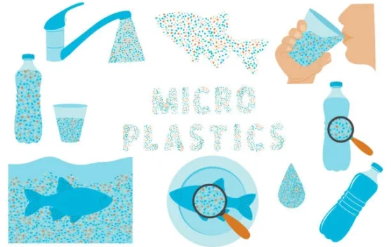 Mikroplastik Ancam Kesehatan Manusia dan Kelestarian Lingkungan