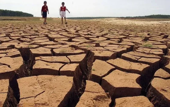 Efek Berantai El Nino pada Kehidupan Sehari-hari
