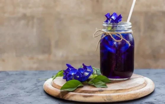Teh Bunga Telang, Pilihan Minuman yang Kaya Manfaat