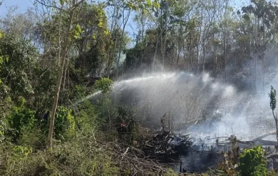 Babinsa Bersama Warga Berhasil Padamkan Kebakaran Kebun Jati Soppeng