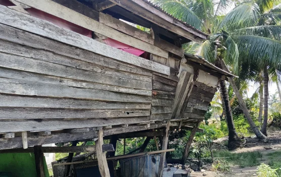 Seorang Janda di Bone Bertahan di Rumah Nyaris Roboh Demi Anak