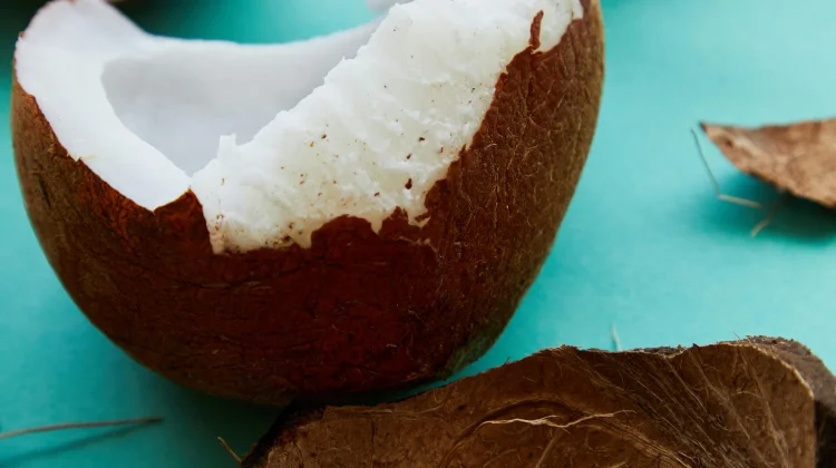 Manfaat Santan Kelapa bagi Kesehatan