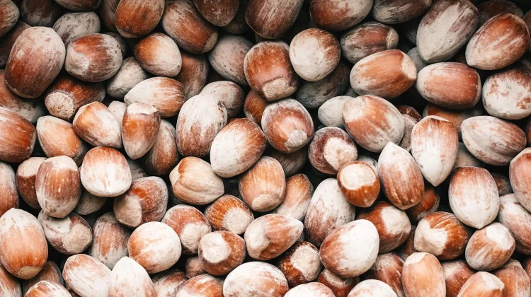 Manfaat Buah Kemiri bagi Kesehatan