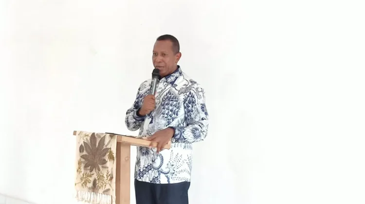 Pemprov Papua Selatan Petakan Kewenangan Pembangunan Jalan