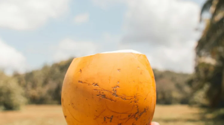 Air Kelapa Pilihan Sehat untuk Berbuka Puasa
