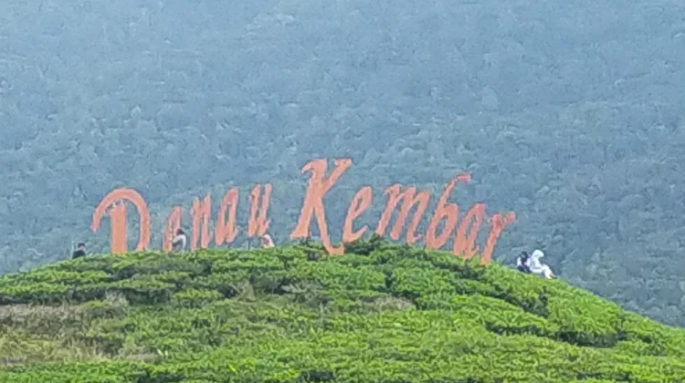 Manfaat Minum Teh Bagi Kesehatan