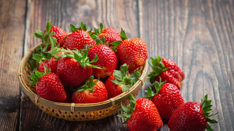 Fakta Unik Stroberi: Buah Lezat yang ternyata Bukan Buah Sejati