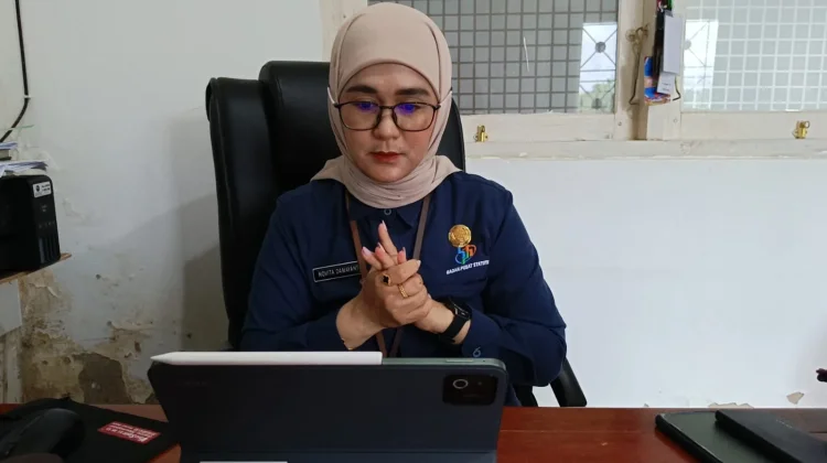 Program Satu Data Indonesia Perkuat Tata Kelola Data hingga Daerah