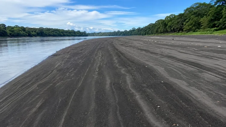 Pasir Hitam Sungai Digoel, Pesona Alam Musiman di Papua Selatan