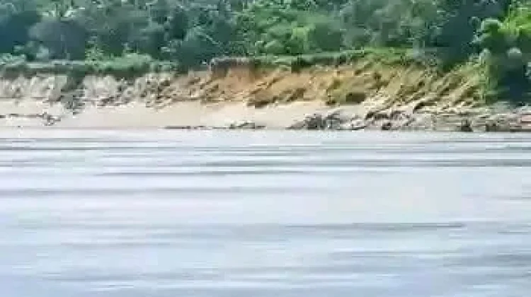 Perahu Dayung, Cara Hidup yang Tetap Bertahan di Sungai Digoel