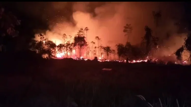 Dandim Boven Digoel Pimpin langsung Padamkan Karhutlah Depan Perumahan DPRD