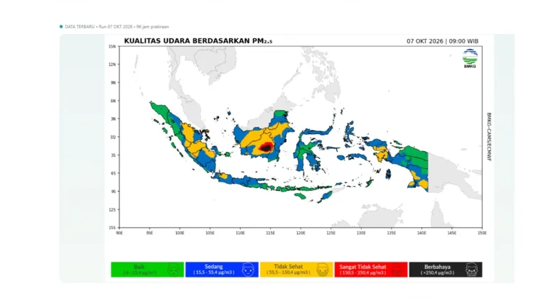 Waspada Sebaran Asap Lintas Batas di Wilayah Papua Selatan