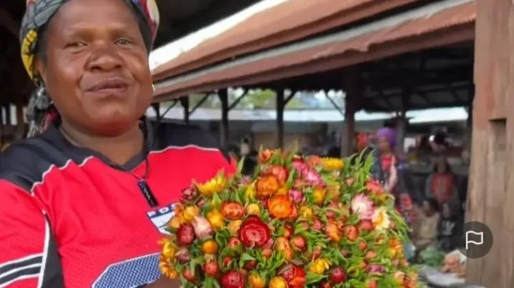 Bunga Kurulu, Bunga Abadi dari Papua
