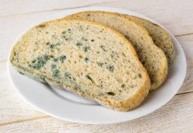 Roti Berjamur Hijau,ini Penyebabnya dan Cara  Mencegahnya.