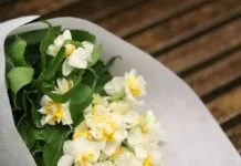 Manfaat Bunga Melati bagi Kesehatan