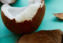 Manfaat Santan Kelapa bagi Kesehatan
