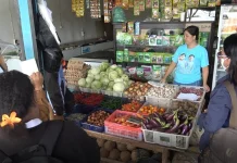Dinas Ketahanan Pangan Pantau Harga Sembako di Tanah Merah