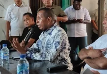 Gubernur Paparkan Empat Fokus Pembangunan Kesehatan di Papua Selatan
