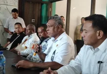 DPRP Papua Selatan Dukung Perlindungan Nakes Pasca Serangan KKB di Yaniruma