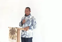 Pemprov Papua Selatan Petakan Kewenangan Pembangunan Jalan