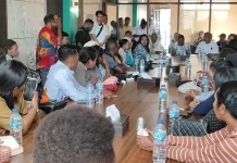 Pemprov Papua Selatan Usulkan Solar Cell untuk Kampung tanpa Listrik