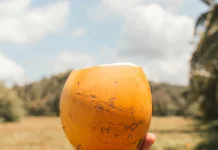 Air Kelapa Pilihan Sehat untuk Berbuka Puasa