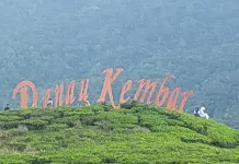 Manfaat Minum Teh Bagi Kesehatan