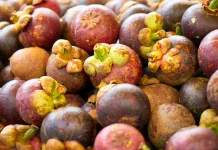 Jumlah “Bintang” pada Kulit Manggis ternyata Menunjukkan Isi Buah di Dalamnya