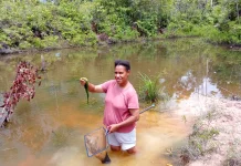 Petani Lumut di Boven Digoel Manfaatkan Alam Jadi Peluang Umpan Ikan