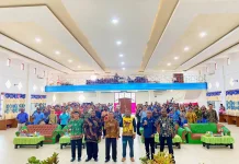 Pembangunan Daerah Harus Selaras dengan Visi Provinsi Papua Selatan