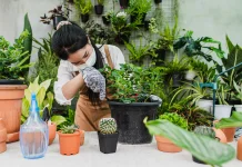 Manfaat Berkebun di Rumah untuk Kesehatan Mental dan Fisik