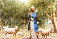 Renungan Minggu: Yesus Sang Gembala Baik, Panggilan untuk Mengikuti-Nya