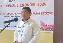 Kepala Distrik Mindiptana Dorong Kolaborasi untuk Sukseskan Program Statistik