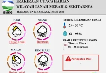 Prakiraan Cuaca Wilayah Tanah Merah Berlaku untuk Selasa 19 Mei 2026