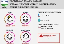 Prakiraan Cuaca Harian Wilayah Tanah Merah 29 Mei 2026
