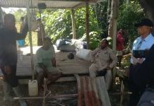 Bupati Rony Omba Dorong Pengembangan Lahan Terpadu  Tingkatkan Produksi Padi