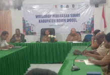 Papua Selatan Perkuat Tata Kelola Data untuk Pembangunan