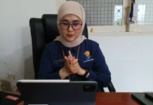 Program Satu Data Indonesia Perkuat Tata Kelola Data hingga Daerah