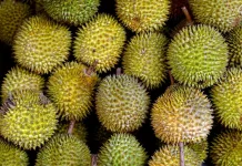 Durian, Si Raja Buah yang Selalu Jadi Primadona